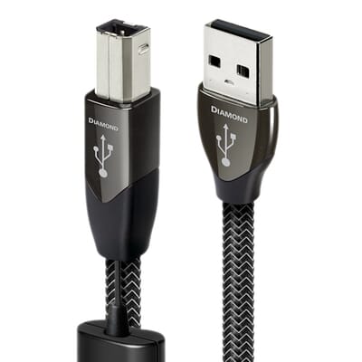 Audioquest Cinnamon USB 1.5M (Occasion) - Cable | Son Ultime – Son