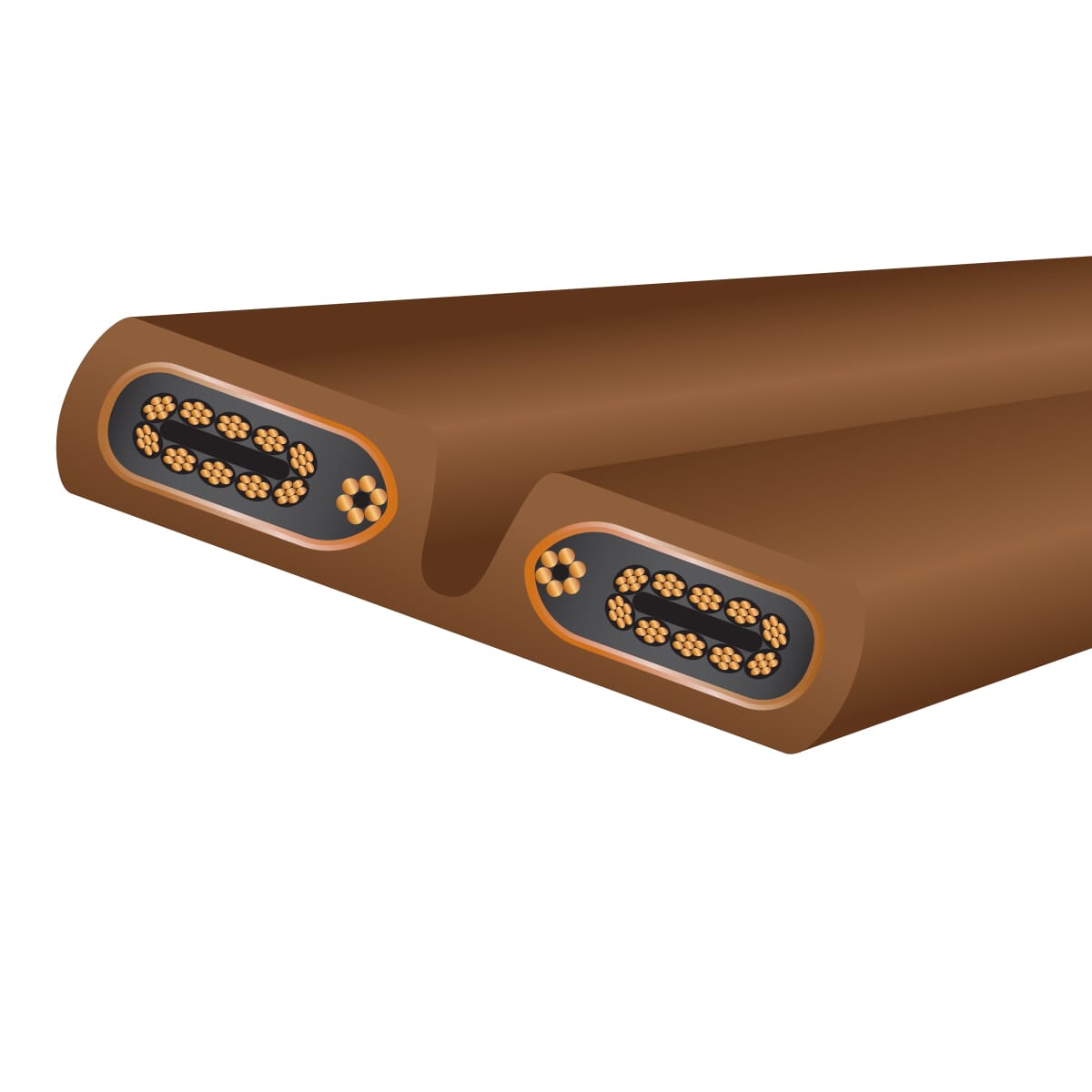 Wireworld Cable Technology - Electra Series 10 Power Cable (15 Amp